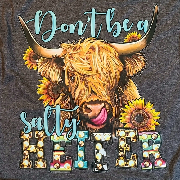 Dont Be A Salty Heifer Funny Highland Cow Graphic Charcoal Short Sleeve Tee - Picture 9 of 12